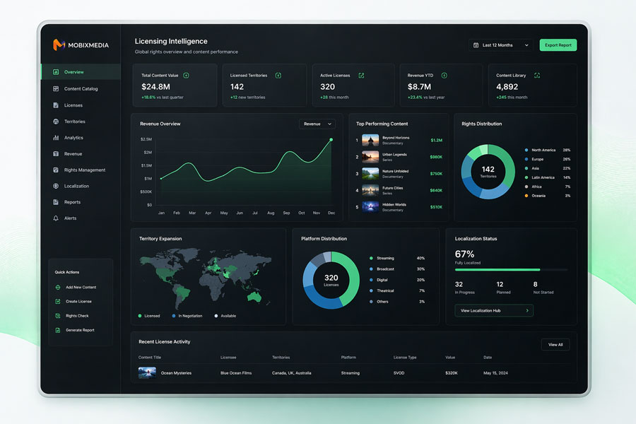 YouTube sponsorship campaign example with performance metrics dashboard